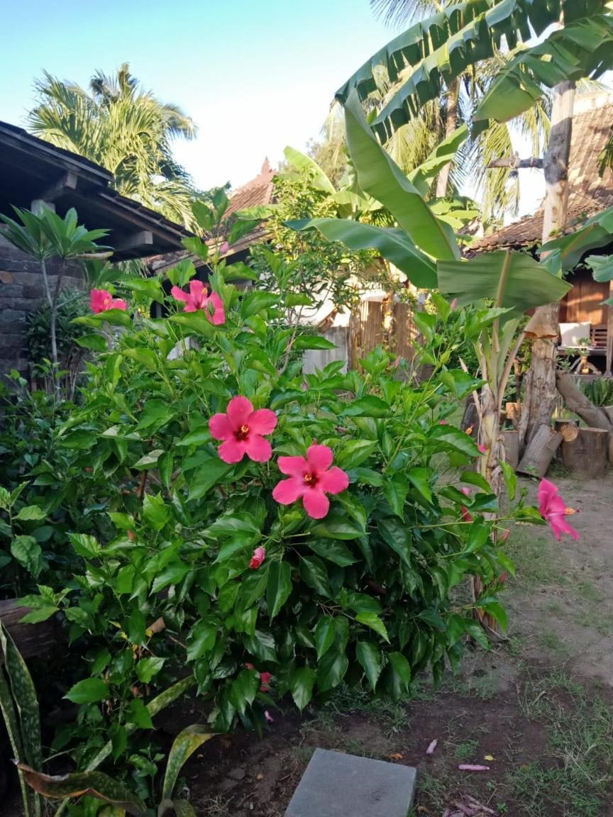 Blu D'Amare Hotel Gili Trawangan Exterior photo
